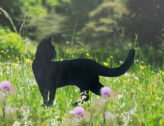Gartenstecker / Silhouette "Stehende Katze"